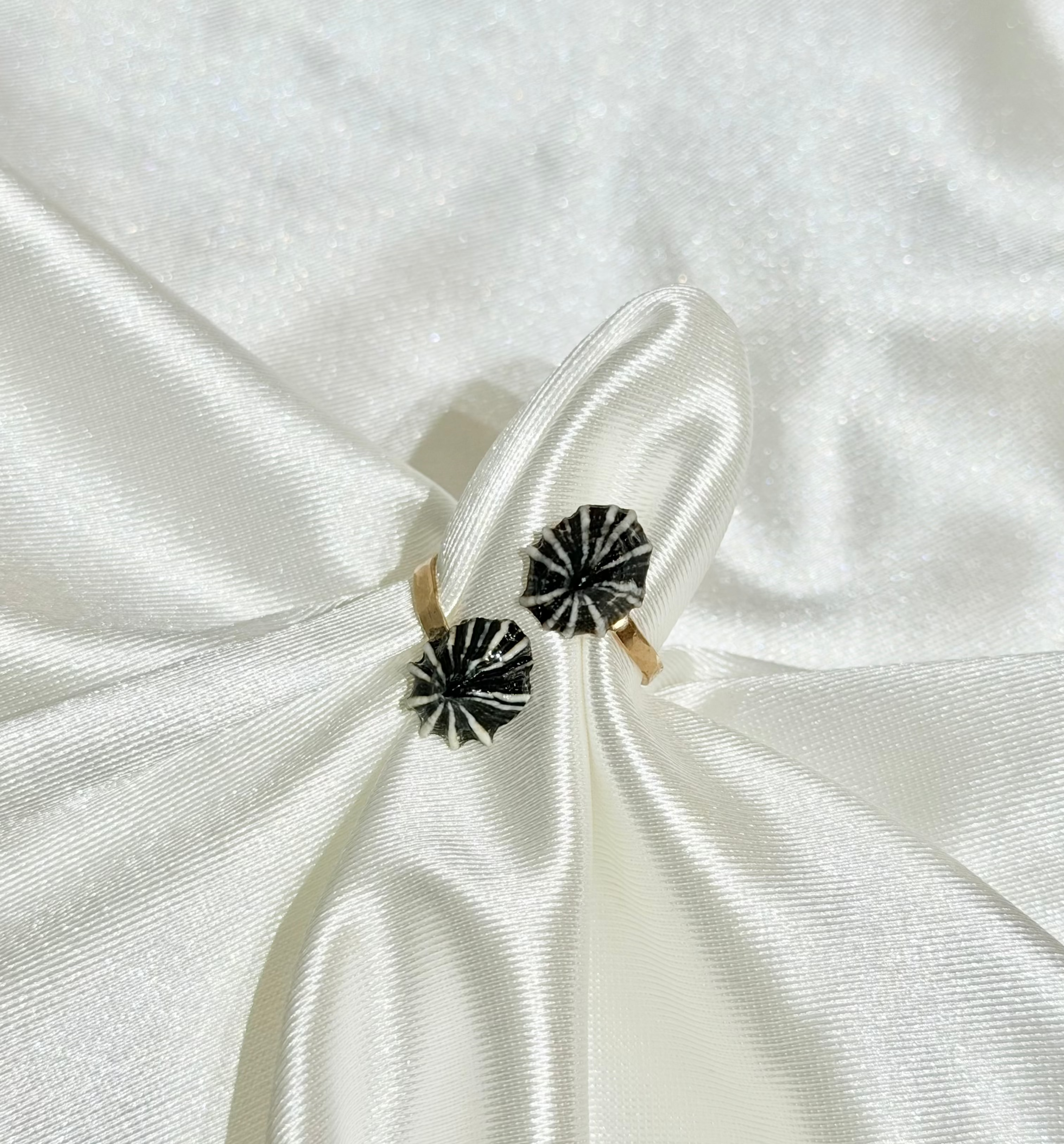 A double Opihi adjustable ring on a white background 