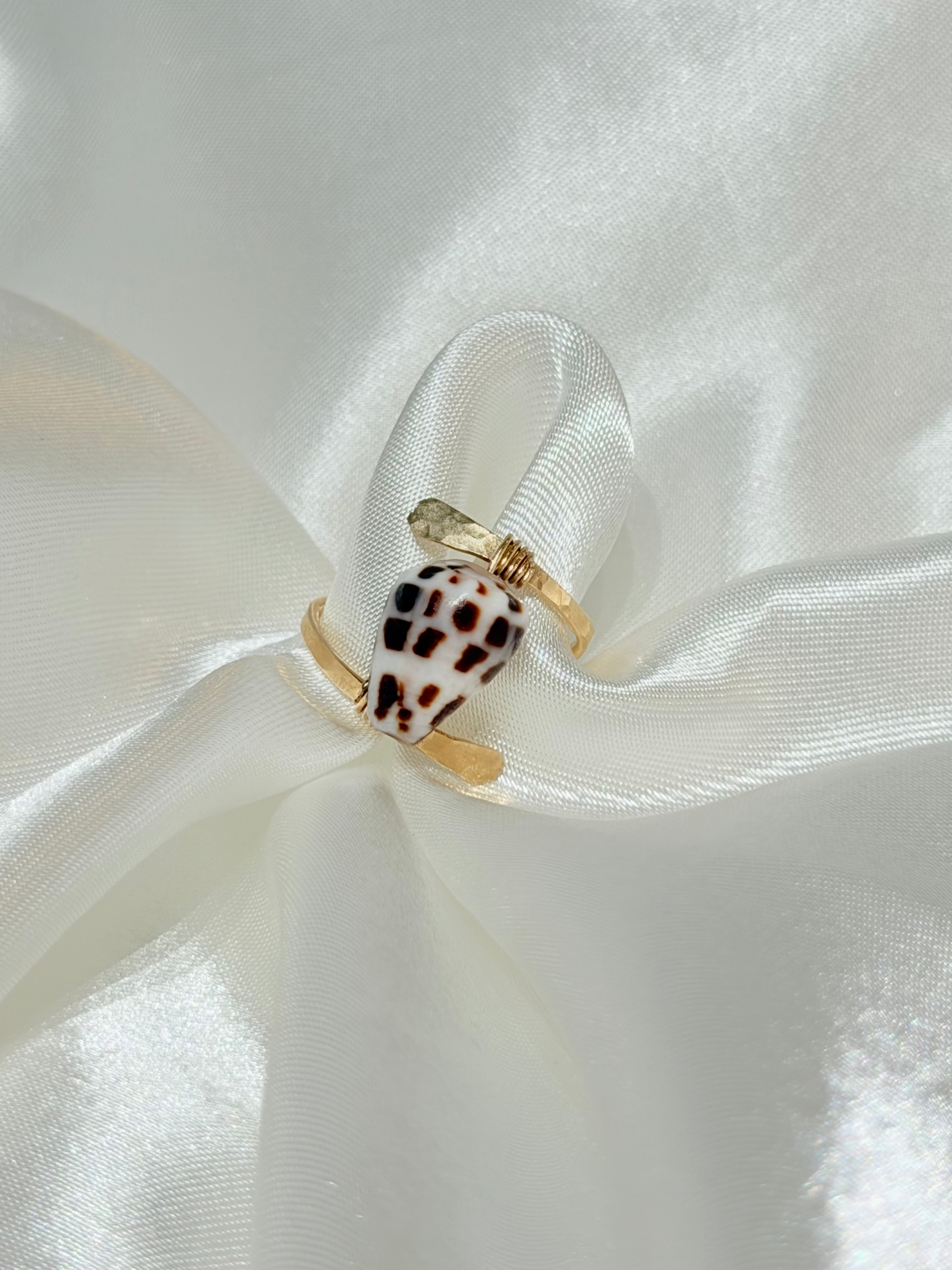 Hebrew cone shell ring with natural spotted pattern wrapped onto a gold band with gold wire