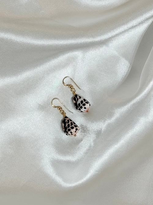 Hebrew cone shell earrings with natural spotted pattern and gold hardware on white fabric
