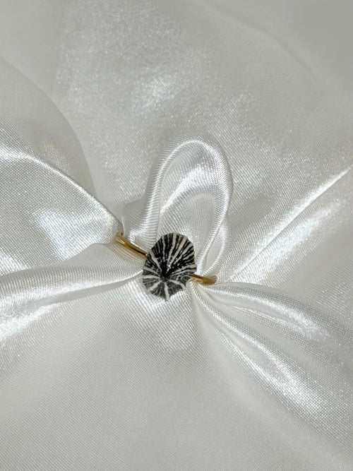 opihi awa shell ring with natural black and white line pattern on a gold band 